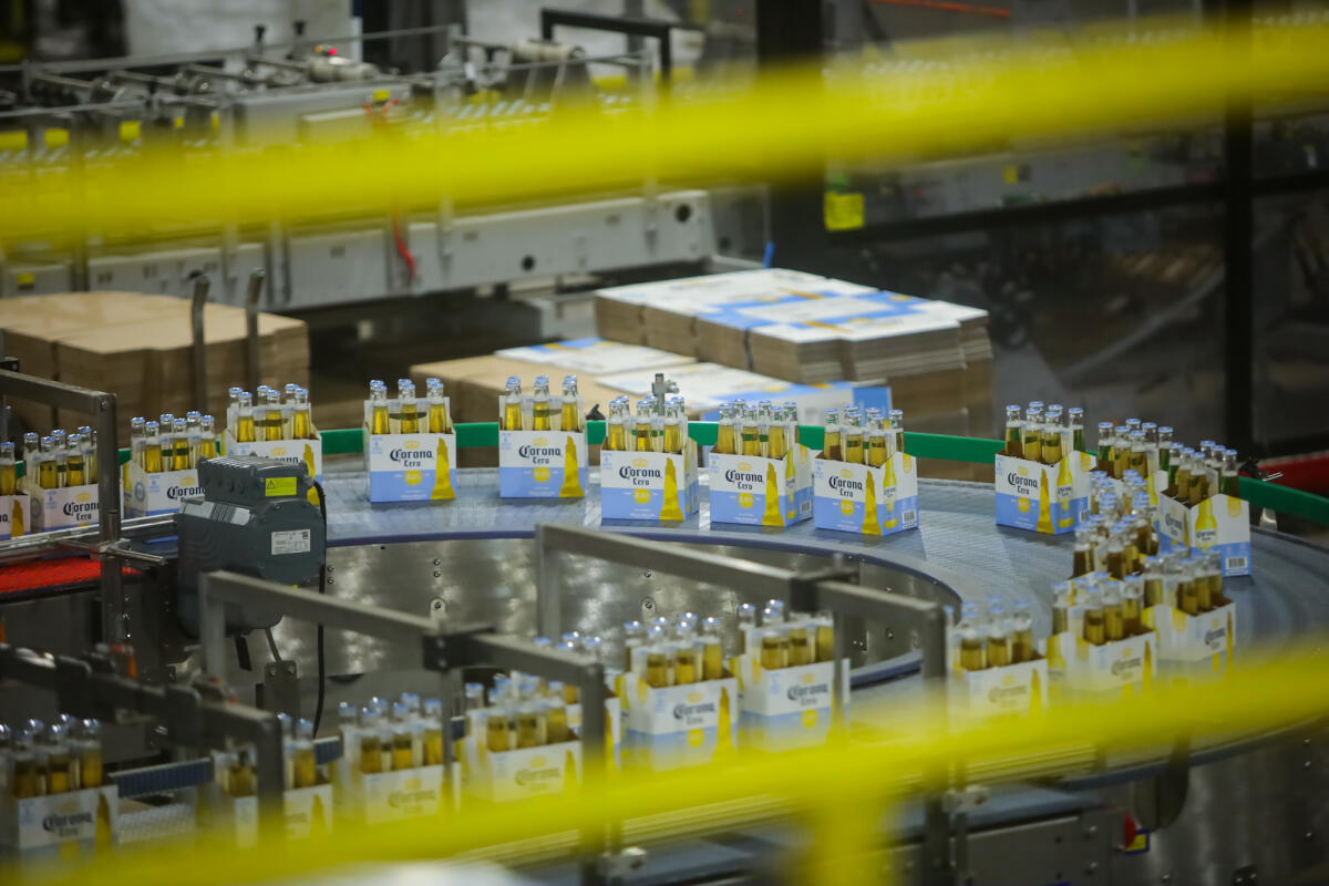 Ambev cresce 17% nas marcas premium no 4T25 e consolida liderança em 2025