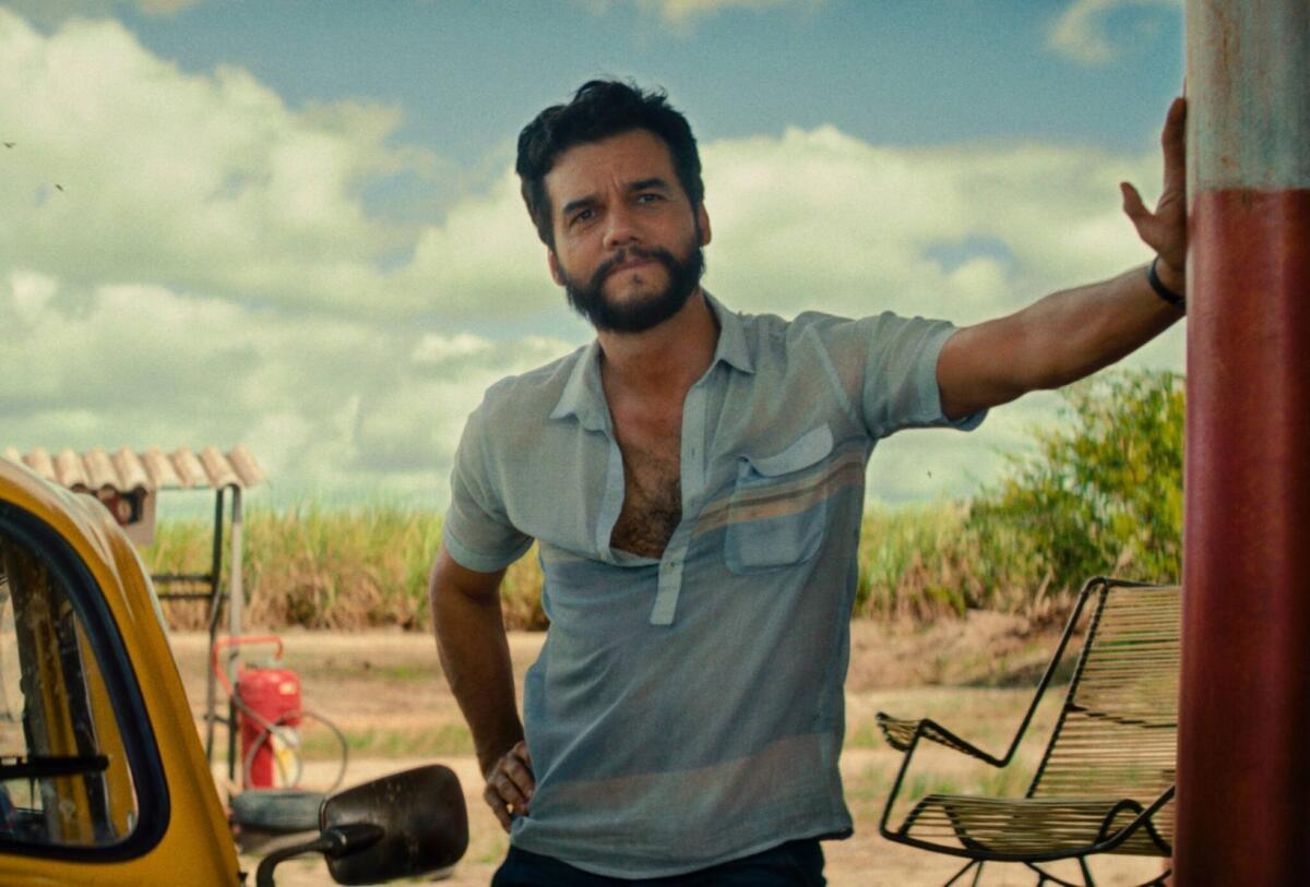 Crítico espanhol detona 'O Agente Secreto' e Wagner Moura: 'Pouco estimulante'