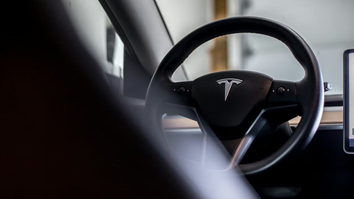 Motorista afirma que carro da Tesla "quase o jogou" em lago
