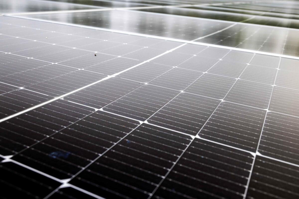 Unipar firma joint venture com Casa dos Ventos para autoprodução de energia solar